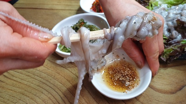 Sannakji – Bạch tuộc sống (Hàn Quốc)